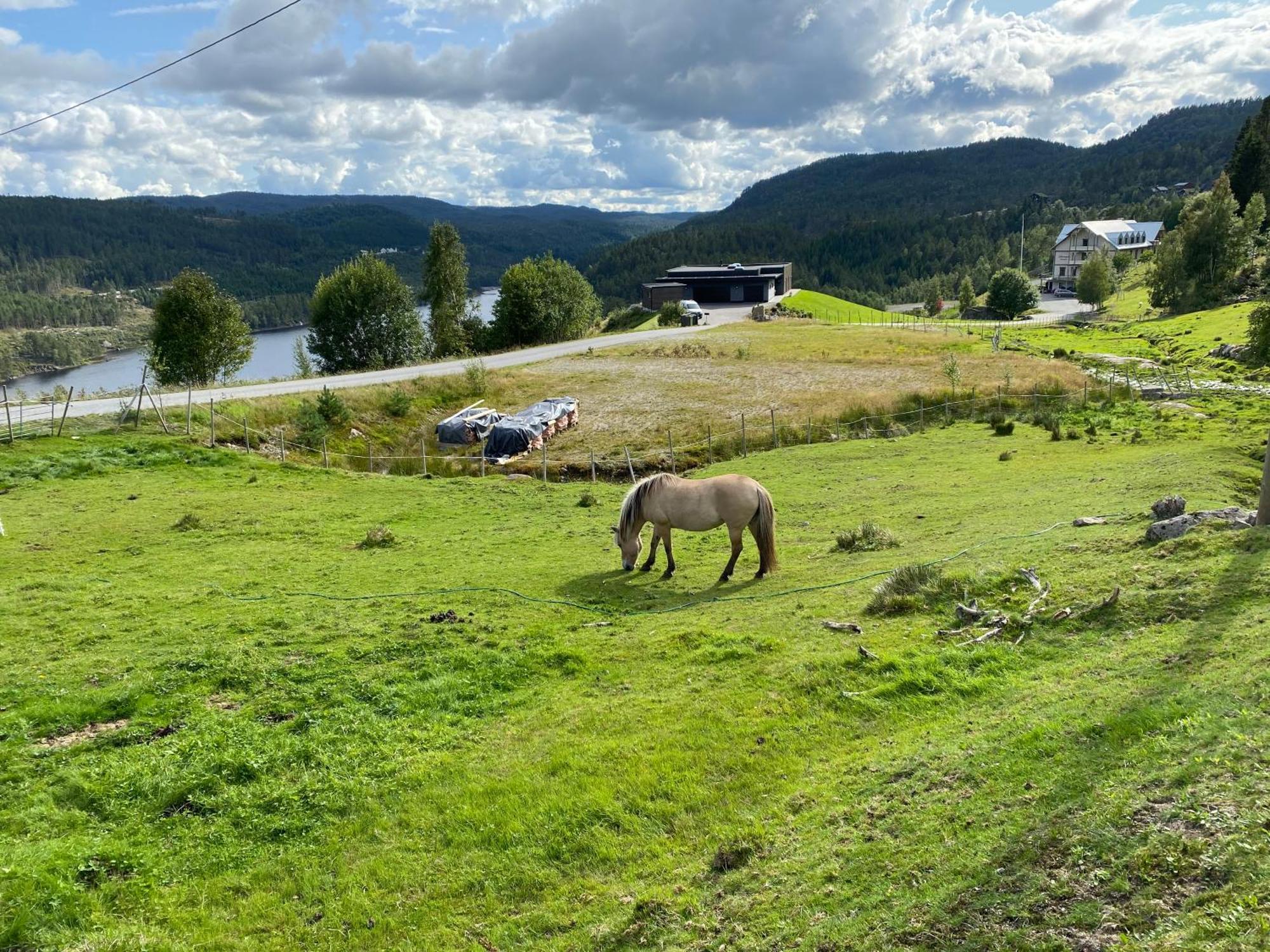 Hygge Pa Fjellet Villa Oyuvstad Exterior photo